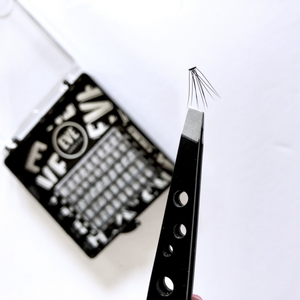 EVE Lashes - Natural Individual Lashes - 10mm